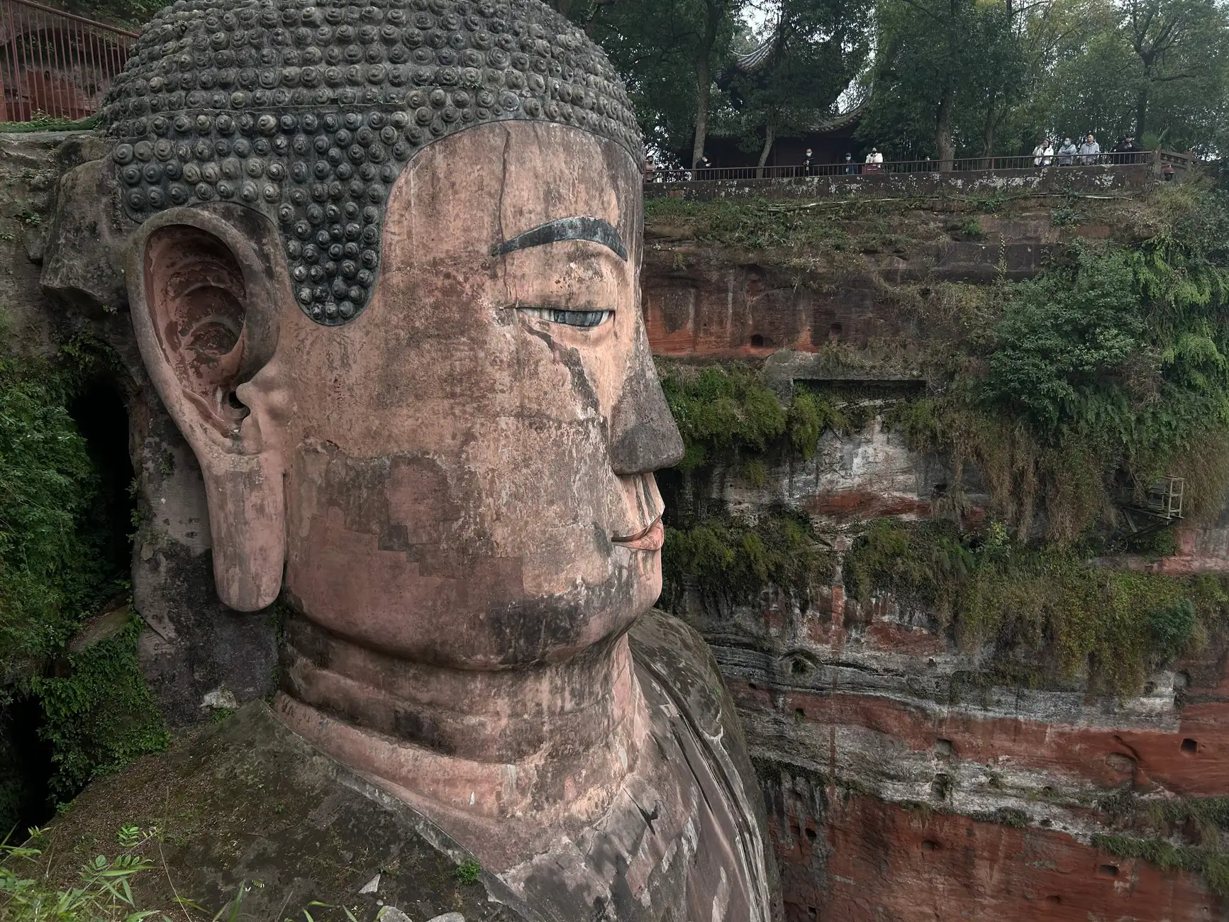 Chengdu Leshan Tour