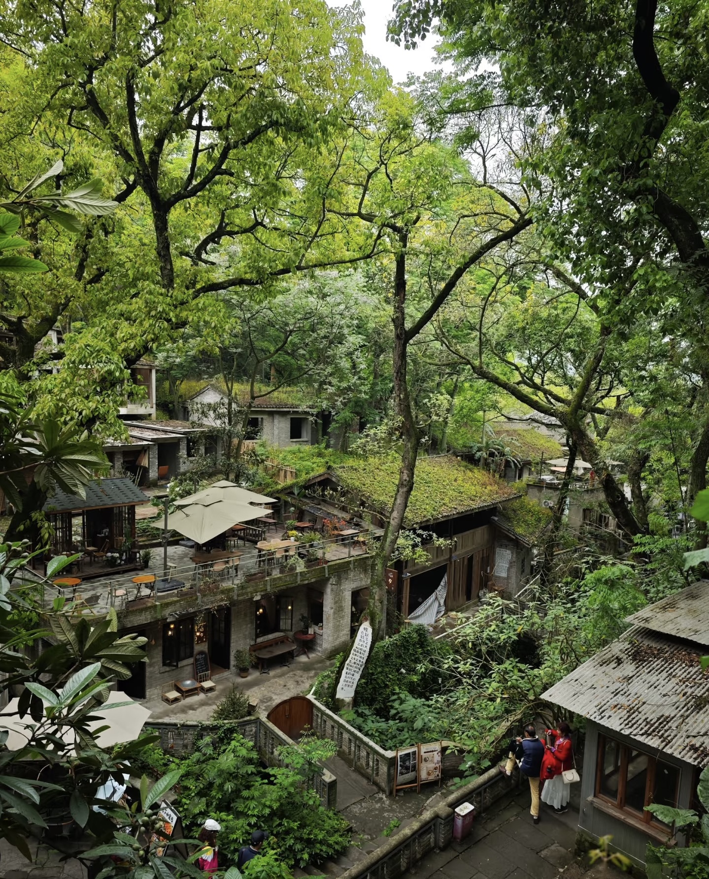 Chongqing Wulong Tour