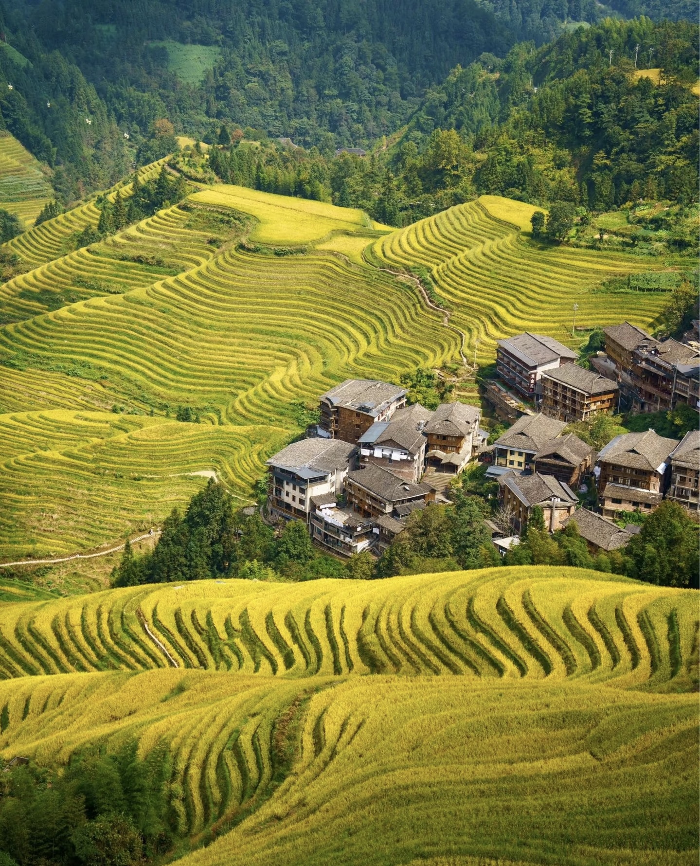 Guilin Plantation Tour