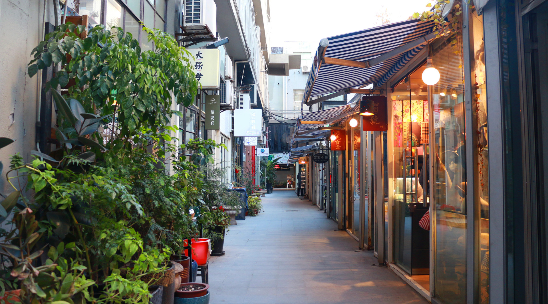Shanghai Zhujiajiao Tour