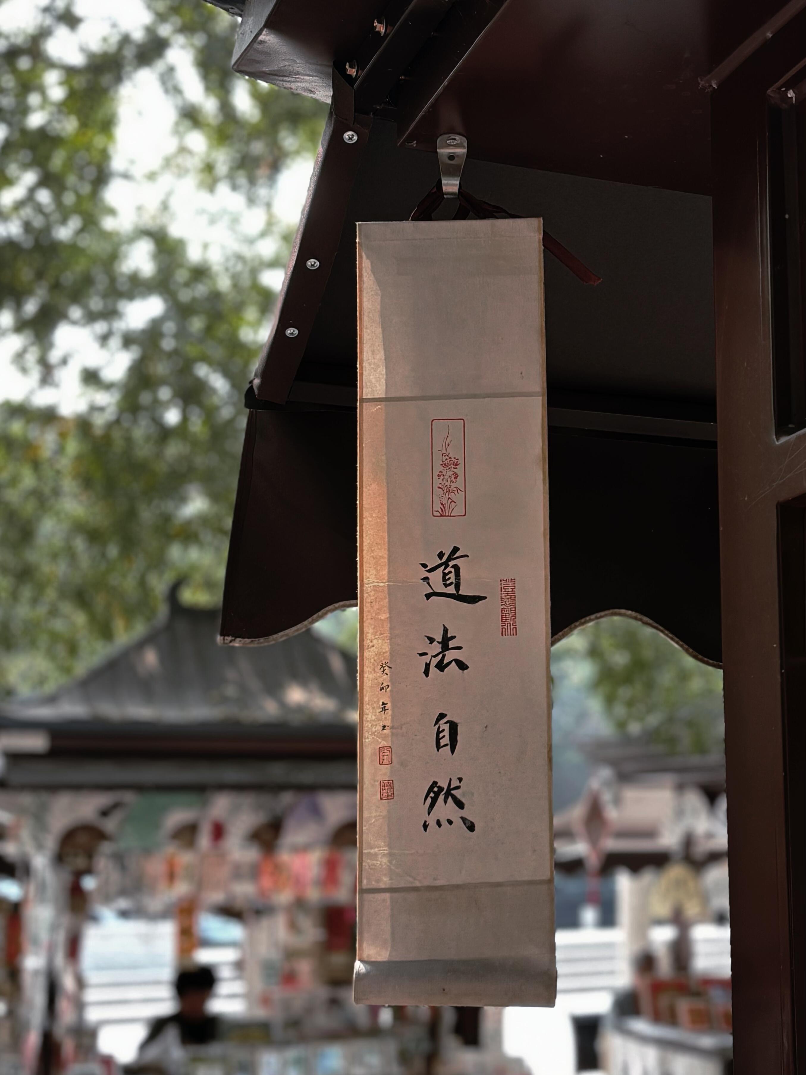 Xian Morning Tour