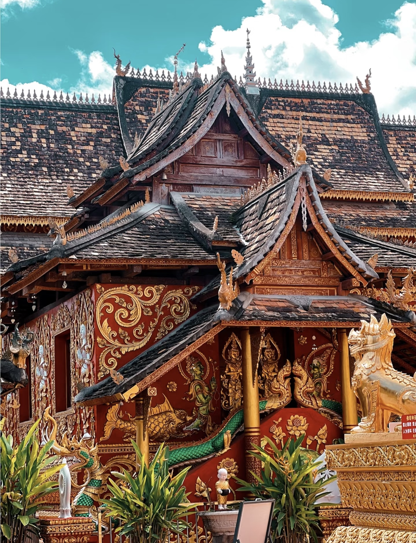 Xishuangbanna Normal Tour