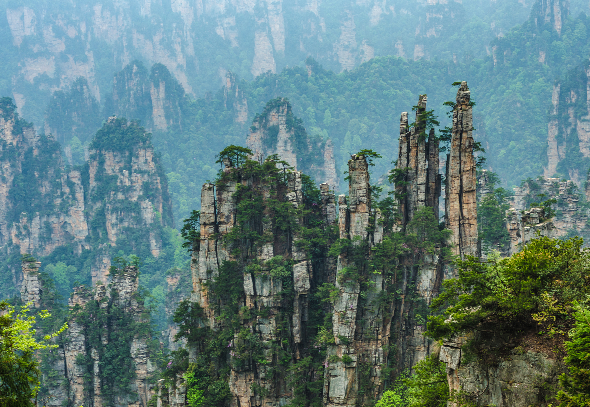 Zhangjiajie Normal Tour